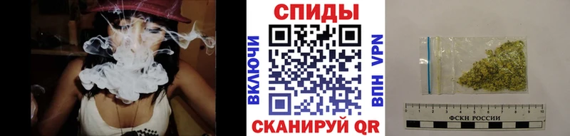 Бутират буратино  Купить где  Грайворон 