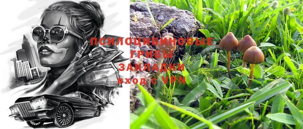 MDMA Бородино
