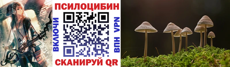 Галлюциногенные грибы мицелий  Купить закладки  Грайворон 